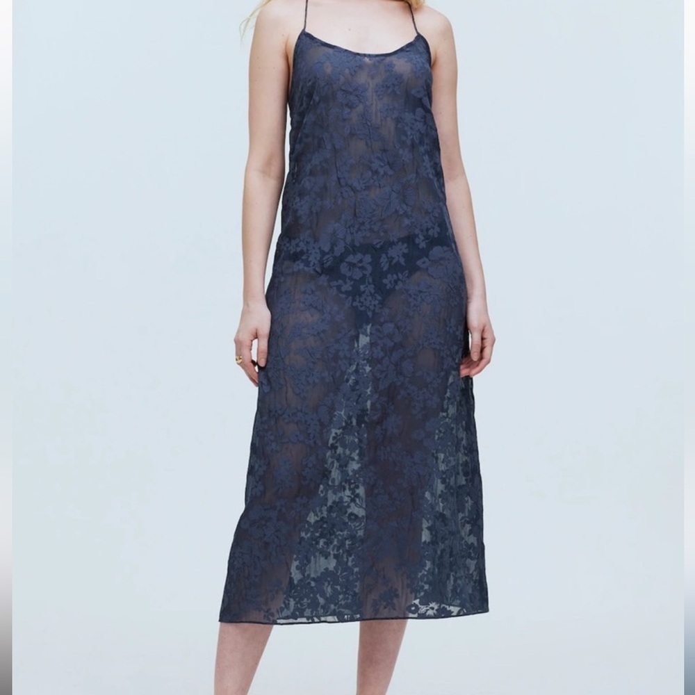 Madewell Sheer Blue Lacy Floral Slip